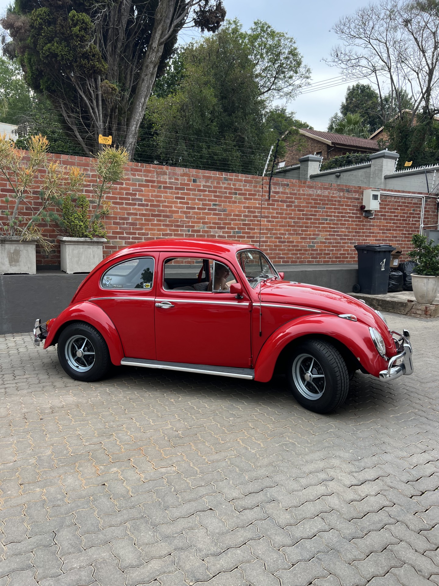 VW Beetle