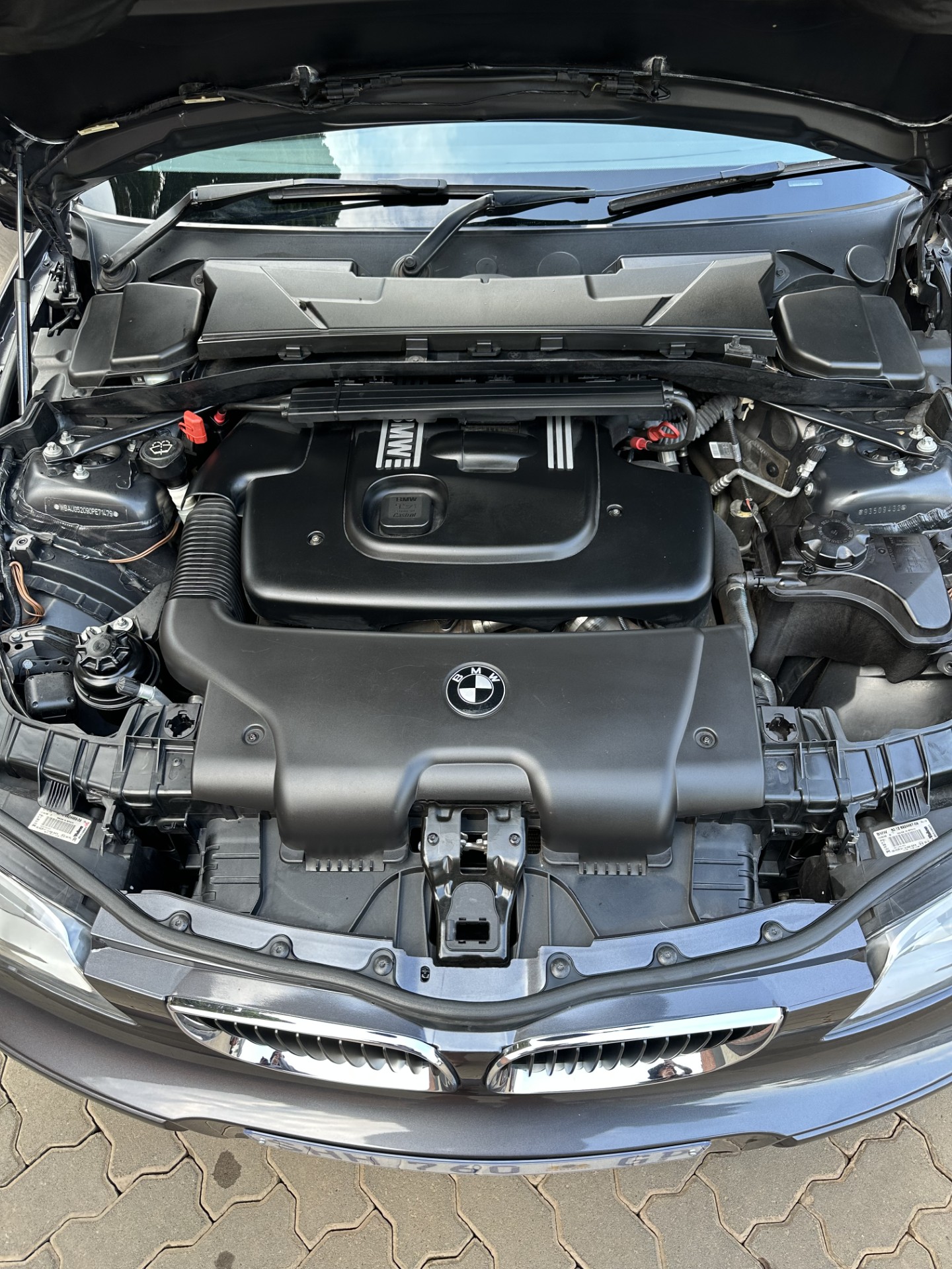 BMW hood